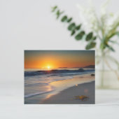 ロングビーチカリフォルニア ポストカード (スタンド正面)