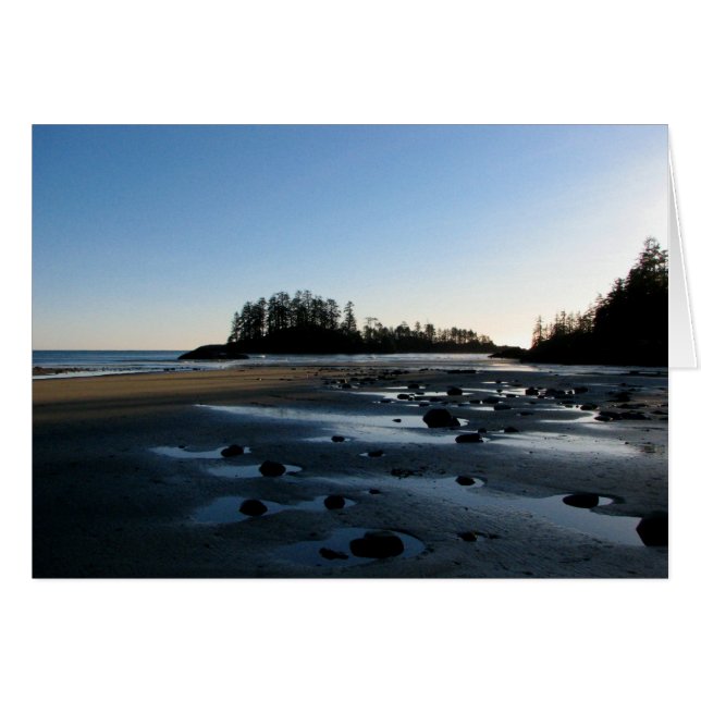 ロングビーチ1 (正面横)