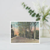 ロングブランチNJシダーアベニュー1911ヴィンテージスタイル ポストカード (スタンド正面)