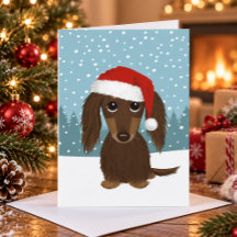 ロングヘアのチョコレートダックスフンド かわいい犬のクリスマス