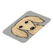 ロングヘアクリームダシュント |漫画ウィーナー犬 マグネット (左側)