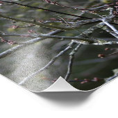 ロングヘアタブビーキャットアニマルペットプリント フォトプリント (角)