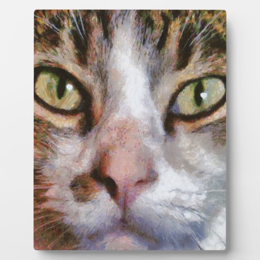 ロングヘアタブビーキャットクローズアップポートレート フォトプラーク (正面)