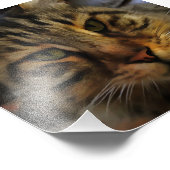 ロングヘアタブビーキャッ芸術的トペットポートレートv2 フォトプリント            (角)