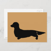 ロングヘアダシュント葉書 ポストカード (正面/裏面)