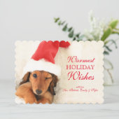 ロングヘアダックスフントワンピーウィンキング シーズンカード (スタンド正面)