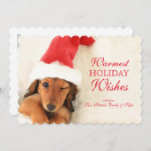 ロングヘアダックスフントワンピーウィンキング シーズンカード (正面/裏面)