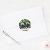 ロングヘアチワフアパピーズ ラウンドシール (封筒)