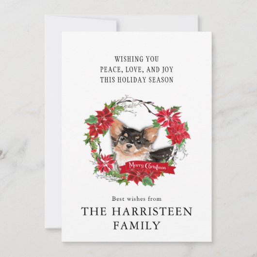ロングヘアチワホアウォーターカラーポインセチアのクリスマス シーズンカード (正面)
