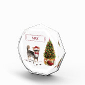 ロングヘアチワホアクリスおもしろいスマスドッグツリーポー フォトブロック (右)