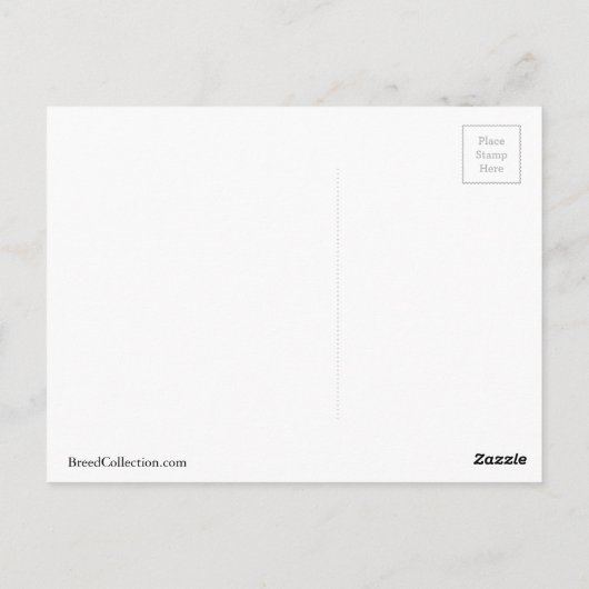 ロングヘアチワホアサンキューユユーデザイン ポストカード (裏面)