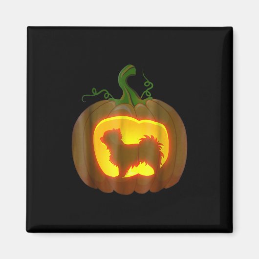 ロングヘアチワホアハロウィーン マグネット (正面)