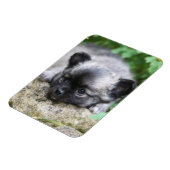 ロングヘアチワホアパピー マグネット (左側)