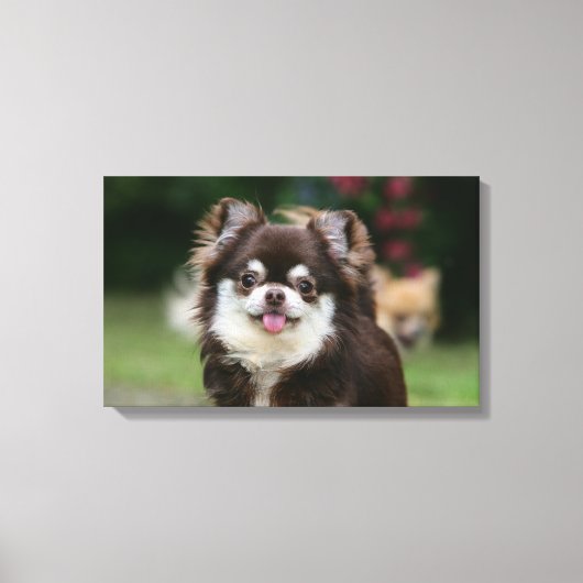 ロングヘアチワホアヘッドショット1 キャンバスプリント (正面)