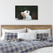 ロングヘアチワホアヘッドショット2 キャンバスプリント (インサイチュ (寝室))