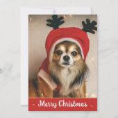 ロングヘアチワワ ペット おもしろ かわいい 犬 クリスマス (正面)
