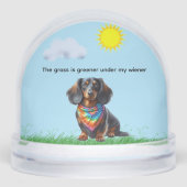 ロングヘアブラックとタンダシュント (正面)