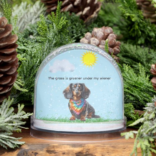 ロングヘアブラックとタンダシュント (冬)