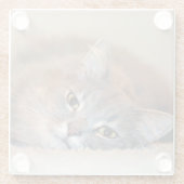 ロングヘアブルーロシアのキャットバイシャーリー・テイラー ガラスコースター (裏面)