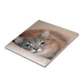 ロングヘアブルーロシアのキャットバイシャーリー・テイラー タイル (側面)