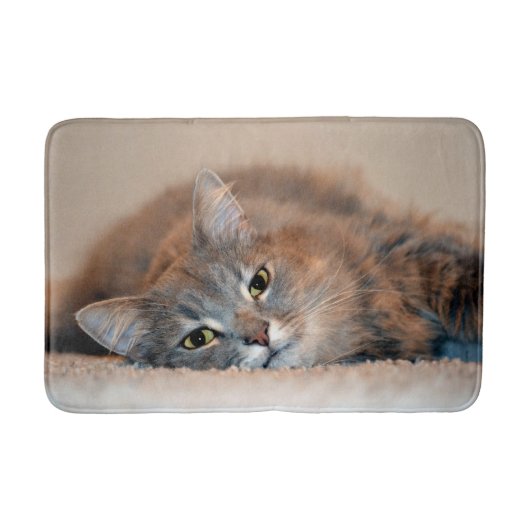 ロングヘアブルーロシアのキャットバイシャーリー・テイラー バスマット (正面)