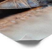 ロングヘアブルーロシアのキャットバイシャーリー・テイラー ポスター (角)