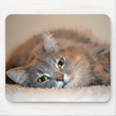 ロングヘアブルーロシアのキャットバイシャーリー・テイラー マウスパッド (正面)