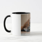 ロングヘアブルーロシアのキャットバイシャーリー・テイラー マグカップ (左)