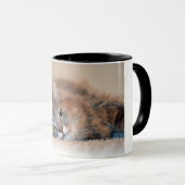 ロングヘアブルーロシアのキャットバイシャーリー・テイラー マグカップ (正面右)