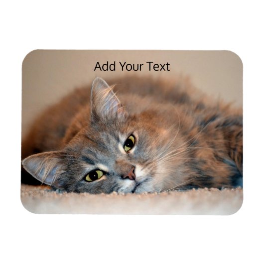 ロングヘアブルーロシアのキャットバイシャーリー・テイラー マグネット (横)