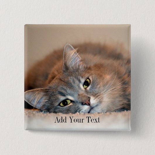 ロングヘアブルーロシアのキャットバイシャーリー・テイラー 缶バッジ (正面)