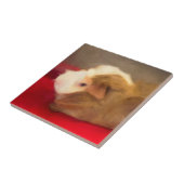 ロングヘアモルモット タイル (側面)