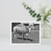 ロングホーンはフードフレンドではなくフードフレンド(B&W) ポストカード (スタンド正面)