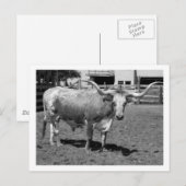 ロングホーンはフードフレンドではなくフードフレンド(B&W) ポストカード (正面/裏面)