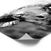 ロングホーンを上へ閉じる ポスター (角)