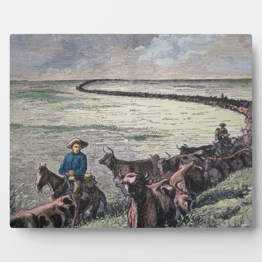 ロングホーン牛がテキサス州からアブリーネまで車で行く フォトプラーク (正面)