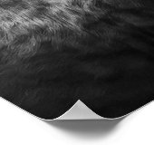 ロングホーン牛の写真プリント ポスター (角)