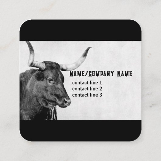 ロングホーン牛の写真白黒カスタム撮影 スクエア名刺 (裏面)