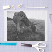 ロングホーン牛の白黒フォトプリントの切り離し 薄葉紙 (クラフト)