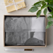 ロングホーン牛の白黒フォトプリントの切り離し 薄葉紙 (ギフト)