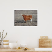 ロングホーン牛 ポスター (キッチン)