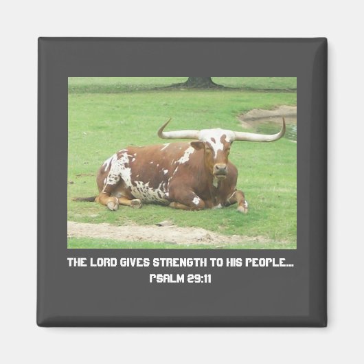 ロングホーン磁石 マグネット (正面)