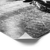 ロングホーン フォトプリント            (角)