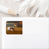 ロングホーン ラベル (インサイチュ)