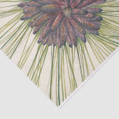 ロングリーフパインバイメリーヴォーウォルコット 薄葉紙 (詳細)