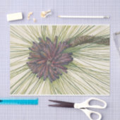 ロングリーフパインバイメリーヴォーウォルコット 薄葉紙 (クラフト)