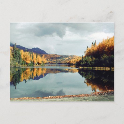 ロングレイク州パーク ポストカード (正面)