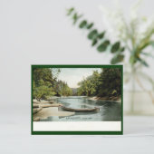 ロングレイク、アディロンドラック山脈、NY 1906ヴィンテージ ポストカード (スタンド正面)