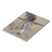 ロング・エード・ロバ ノートパッド (回転)