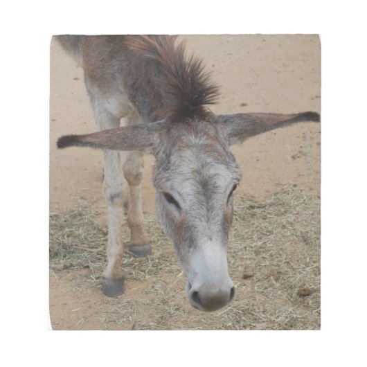 ロング・エード・ロバ ノートパッド (正面)